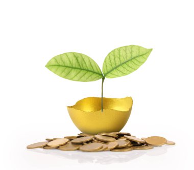 Yatırım hisse senedi altın yumurta konsepti