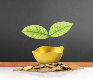 Yatırım hisse senedi altın yumurta konsepti