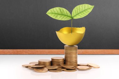 Yatırım hisse senedi altın yumurta konsepti