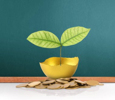 Yatırım hisse senedi altın yumurta konsepti