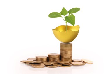 Yatırım hisse senedi altın yumurta konsepti