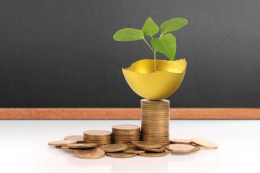 Yatırım hisse senedi altın yumurta konsepti