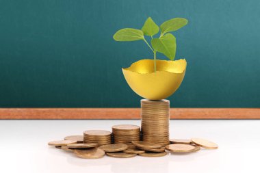 Altın yumurta yatırım kavramı