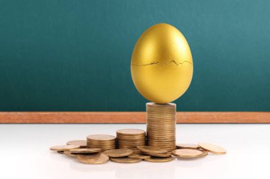 Altın yumurta yatırım kavramı