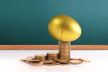 Altın yumurta yatırım kavramı