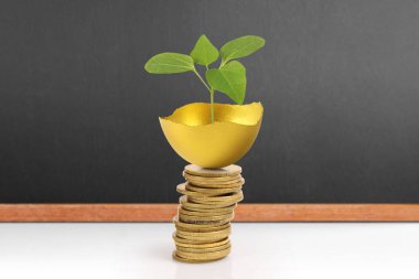 Yatırım hisse senedi altın yumurta konsepti