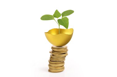 Yatırım hisse senedi altın yumurta konsepti