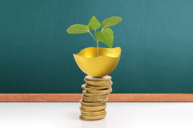 Yatırım hisse senedi altın yumurta konsepti