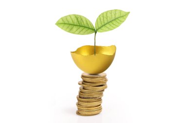 Yatırım hisse senedi altın yumurta konsepti