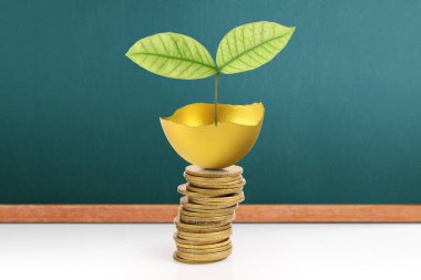 Yatırım hisse senedi altın yumurta konsepti