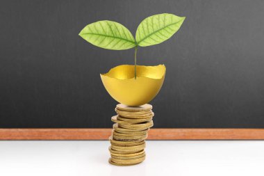 Yatırım hisse senedi altın yumurta konsepti