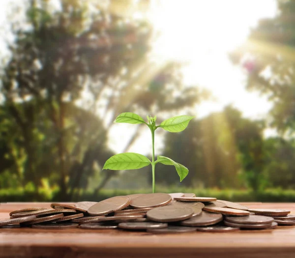 grafik para hisse senedi finans ve iş konsepti