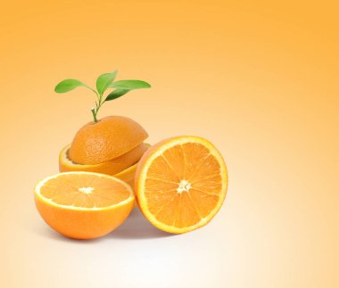  Yapraklı meyve portakalı