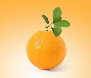  Yapraklı meyve portakalı