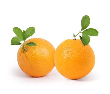  Yapraklı meyve portakalı