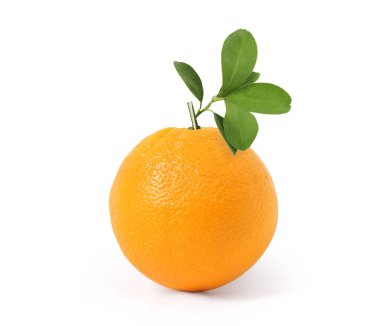  Yapraklı meyve portakalı