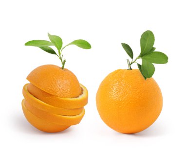  Yapraklı meyve portakalı