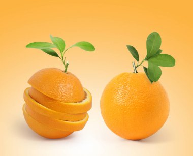  Yapraklı meyve portakalı