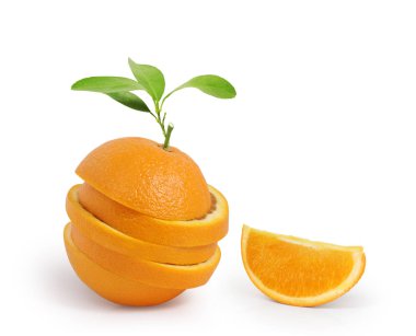  Yapraklı meyve portakalı