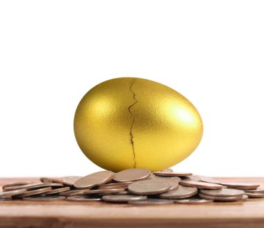 Yatırım hisse senedi altın yumurta konsepti