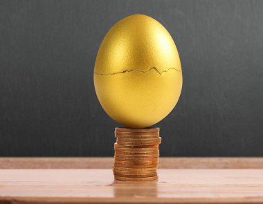 Yatırım hisse senedi altın yumurta konsepti
