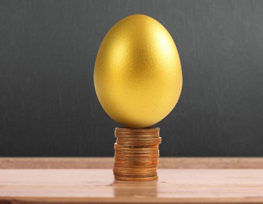 Yatırım hisse senedi altın yumurta konsepti