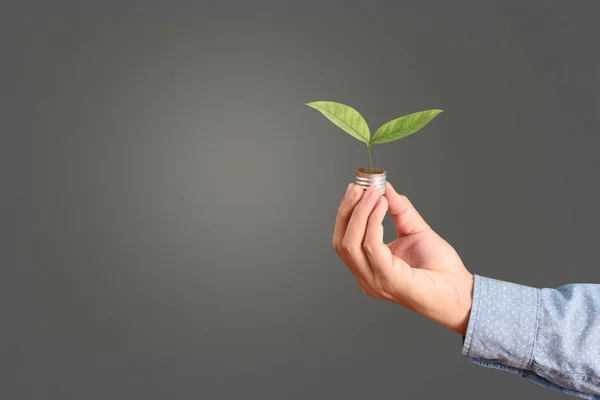 Holding Lightbulb Hand — Stock Photo, Image