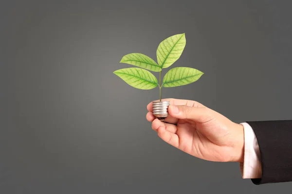 Holding Lightbulb Hand — Stock Photo, Image