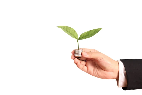 Holding Lightbulb Hand — Stock Photo, Image