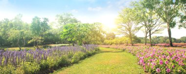 oldukça bakımlı çiçek bahçesi ile renkli 
