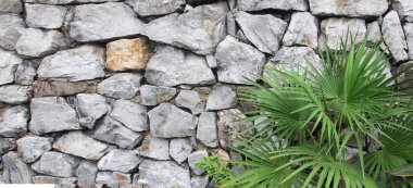 arka plan olarak Ivy ile taş duvar