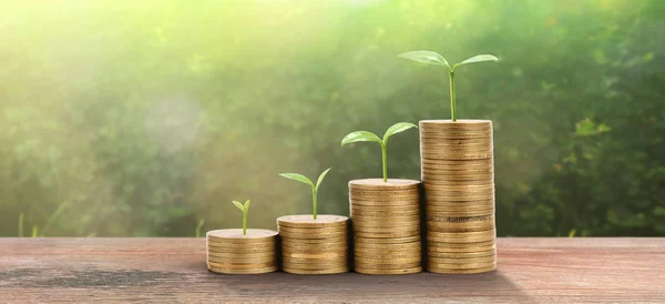 Growing plant on coins. finance  investment concep — 스톡 사진