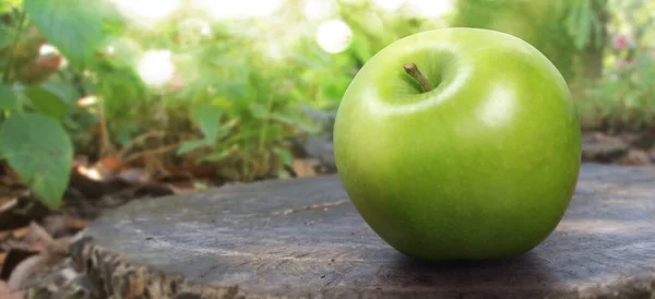 Perfect Fresh Green Apple Isolated Full Depth Field Clipping Path — Stok Foto