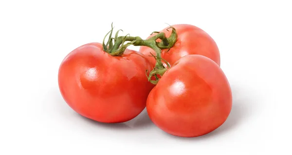 Tomate Mit Schnittpfad Volle Schärfentiefe Isoliert — Stockfoto