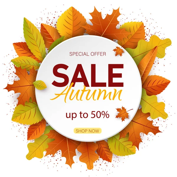 Autumn Background Sales Banner Autumn Leaves Vector Banner — Stock Vector