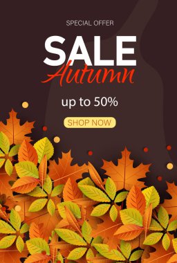 Sonbahar Satış Arkaplanı, düşen yapraklar, web afişi, alışveriş satışı veya mevsimlik poster, kartpostal ve davetiye kartı. Vektör illüstrasyonu Dikey Görünüm
