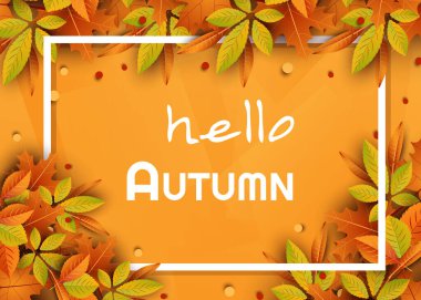 Sonbahar kompozisyonu. Merhaba düşüşü. Yaratıcı Üst Görüş Düzlüğü yatıyordu. Vektör