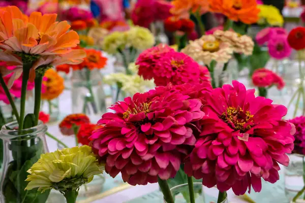 Fleurs Gros Plan Lors Une Exposition Florale — Photo