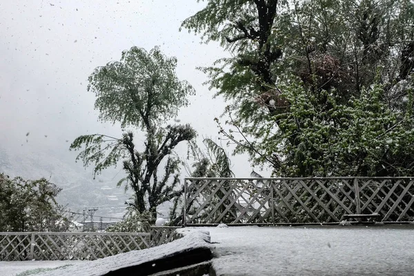 Paisagens Nevadas Durante Uma Manhã Fria Inverno — Fotografia de Stock