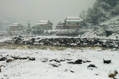 Pakistan 'da kar yağışında güzel doğal manzaralar.