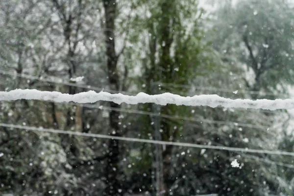 Neve Arame Uma Manhã Inverno Muito Fria — Fotografia de Stock