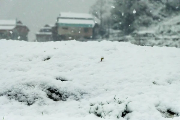 Neve Chão — Fotografia de Stock