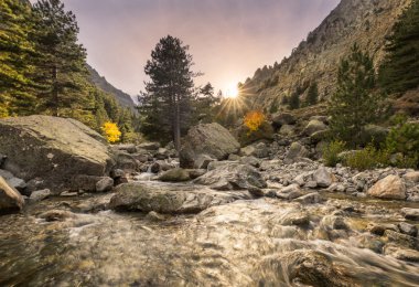 Restonica Vadisi Corsica'deki / daki dağlarda şelaleler