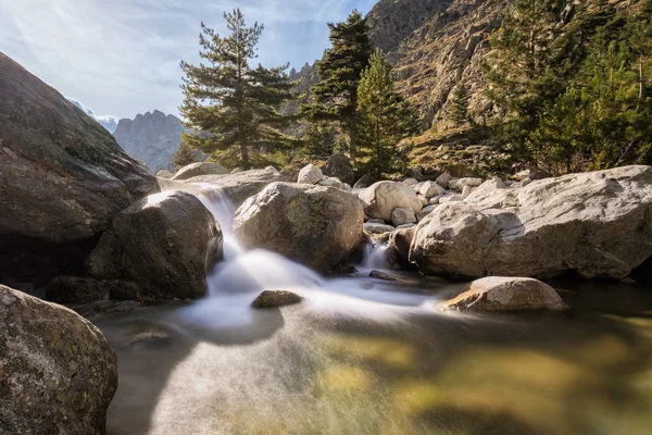 Wasserfälle in den Bergen des Restonica-Tals auf Korsika — Stockfoto