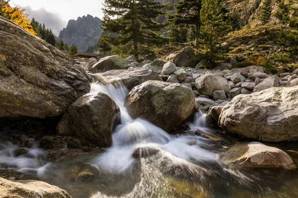 Waterfalls in the mountains of Restonica valley in Corsica — Stock Photo, Image