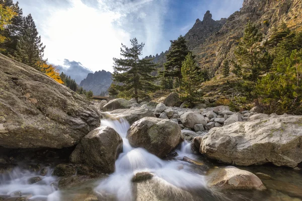 Wasserfälle in den Bergen des Restonica-Tals auf Korsika — Stockfoto