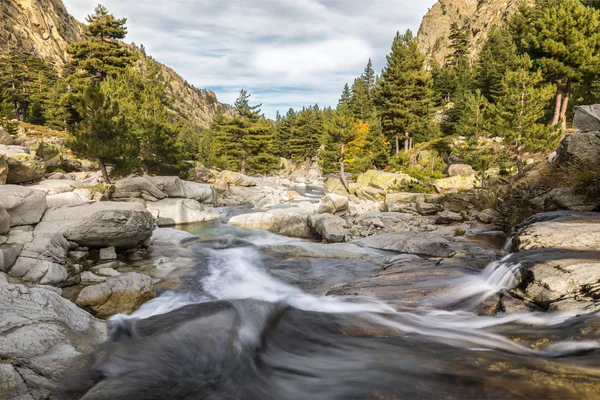 Vattenfall i bergen i Restonica dal i Korsika — Stockfoto