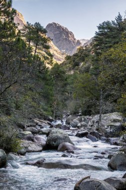 Yavaş çekim fotoğraf Corsica'deki / daki Bonifatu, Figarella Nehri'nin