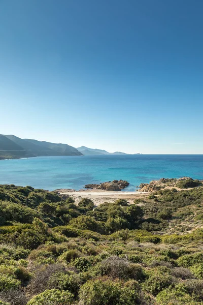 Playa Ostriconi en la región de Balagne de Córcega — Foto de Stock