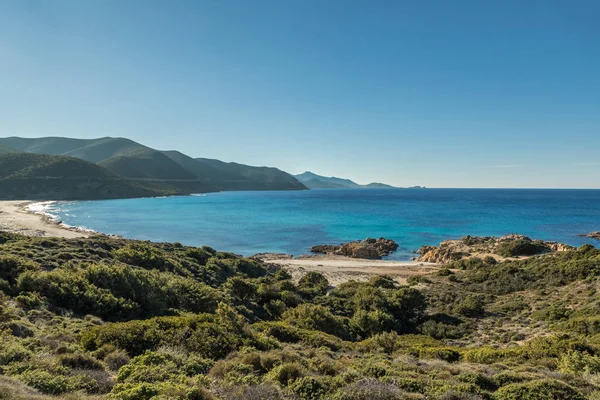 Ostriconi plaży regionu balagne Korsyki — Zdjęcie stockowe